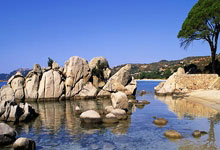 上赛季德甲联赛积分榜有哪些关键看点和变化？